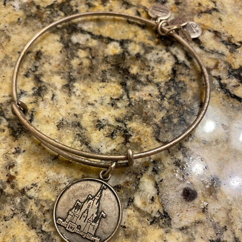 Walt Disney Alex and Ani